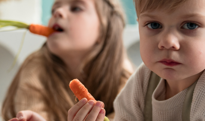 https://teukocom.files.wordpress.com/2023/04/5-ways-to-add-carrots-to-your-kids-lunch-boxes-3.png?w=720&h=426&crop=1